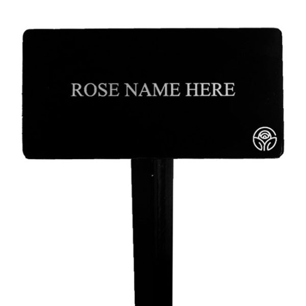 Apothecary s Rose Stake Hot on Sale