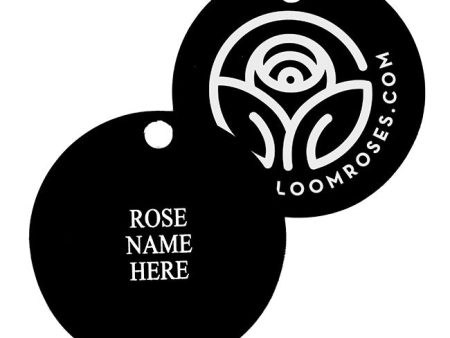 The Soham Rose Tag Online Hot Sale