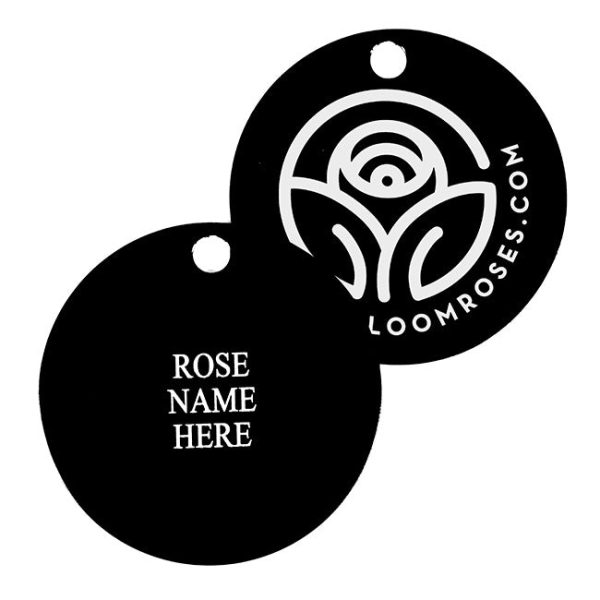 The Soham Rose Tag Online Hot Sale