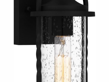 Reece Small 1-light Outdoor Wall Light  Coastal Armour Aluminum Earth Black Online