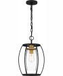 Thyme 1-light Mini Pendant Earth Black For Discount