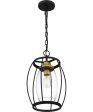 Thyme 1-light Mini Pendant Earth Black For Discount