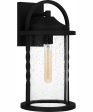 Reece Large 1-light Outdoor Wall Light  Coastal Armour Aluminum Earth Black on Sale