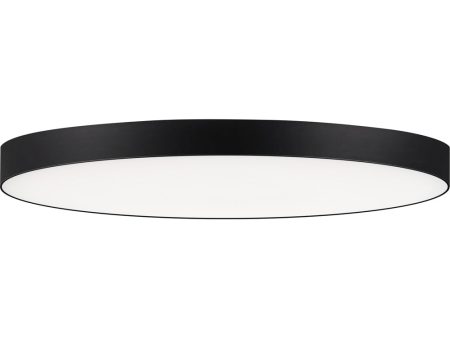 Trim 16 inch RD LED Flush Mount 3000K Black For Sale