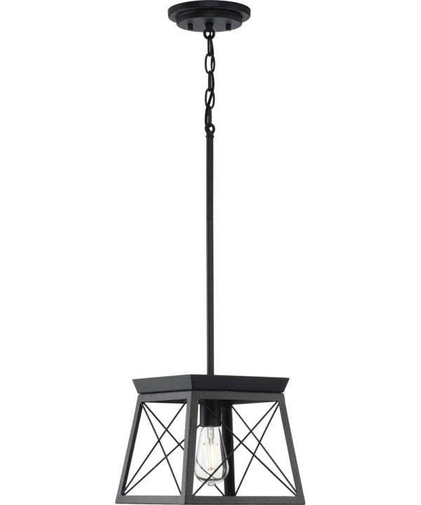 Briarwood 1-Light Textured Cerused Black Farmhouse Style Hanging Mini-Pendant Light Textured Black on Sale