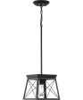 Briarwood 1-Light Textured Cerused Black Farmhouse Style Hanging Mini-Pendant Light Textured Black on Sale