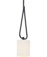 Tobin 1-Light Mini-Pendant Matte Black Online now