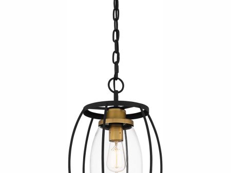 Thyme 1-light Mini Pendant Earth Black For Discount