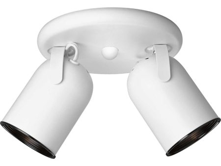 2-Light Multi Directional Roundback Wall Ceiling Fixture White Online now