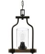 Barnes Mill 1-Light Clear Seeded Glass Farmhouse Mini-Pendant Light Antique Bronze For Sale