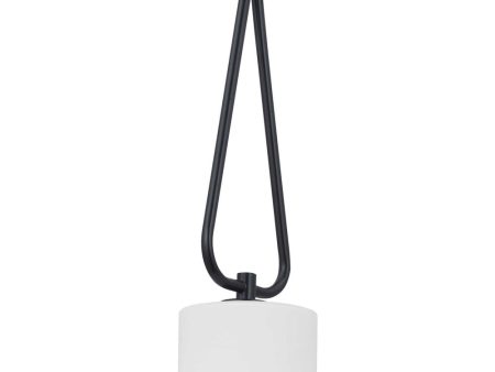 Tobin 1-Light Mini-Pendant Matte Black Online now