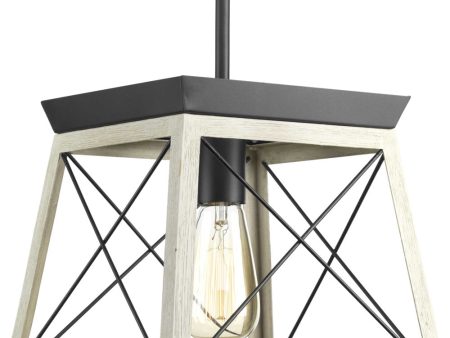 Briarwood 1-Light Coastal Mini-Pendant Light Graphite Online