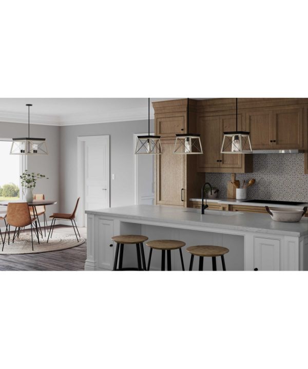 Briarwood 1-Light Coastal Mini-Pendant Light Graphite Online