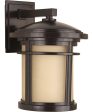 Wish 1-Light Medium LED Wall Lantern Antique Bronze Supply