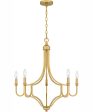 Mabel 5-light Chandelier Light Gold Fashion