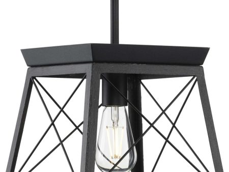 Briarwood 1-Light Textured Cerused Black Farmhouse Style Hanging Mini-Pendant Light Textured Black on Sale