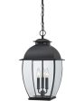 Bain Large 3-light Outdoor Pendant Light Mystic Black Online now