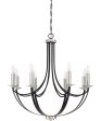 Alana 8-light Chandelier Mystic Black For Discount