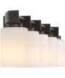 Taylor 5-light Bath Light Western Bronze For Sale