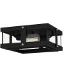 Beck 2-light Flush Mount Earth Black Sale