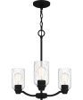 Acacia 3-light Chandelier Matte Black Online