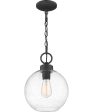 Barre Large 1-light Outdoor Pendant Light  Coastal Armour Aluminum Grey Ash Sale