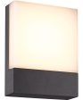 Pecos LED Outdoor Wall Sconce Charcoal Fashion