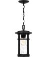 Uma Large 1-light Outdoor Pendant Light Matte Black Hot on Sale