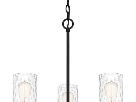 Acacia 3-light Chandelier Matte Black Online