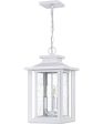 Wakefield 3-light Outdoor Pendant Light  Coastal Armour White Lustre Online Sale