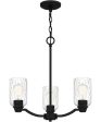 Acacia 3-light Chandelier Matte Black Online