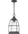 Admiral Large 1-light Outdoor Pendant Light  Coastal Armour Aluminum Mottled Black Supply