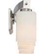 Taylor Extra Large 4-light Bath Light Brushed Nickel Online Sale