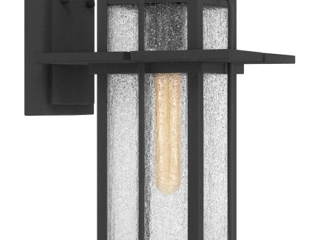 Randall Large 1-light Outdoor Wall Light  Coastal Armour Aluminum Mottled Black Online now