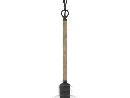 Wagner Small 1-light Mini Pendant Matte Black on Sale