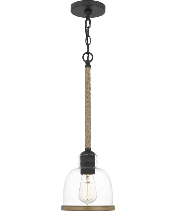 Wagner Small 1-light Mini Pendant Matte Black on Sale