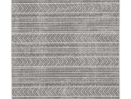 5 x7  Brinoy Medium Rug Black White Online now