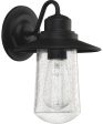 Radford Medium 1-light Outdoor Wall Light Matte Black Online now