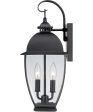 Bain Medium 2-light Outdoor Wall Light Mystic Black Online