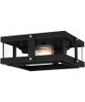 Beck 2-light Flush Mount Earth Black Sale