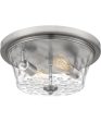 Acacia 2-light Flush Mount Brushed Nickel Online Sale