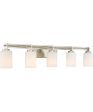 Taylor 5-light Bath Light Brushed Nickel Online