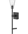 Auden 1-Light Single Light Vanity in Black Oxide Fashion