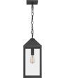 Thorpe Large 1-light Outdoor Pendant Light  Coastal Armour Aluminum Mottled Black Online Sale