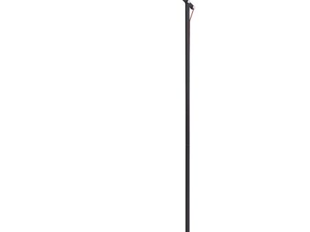 Amsterdam  LED floor Lamp Black on Sale