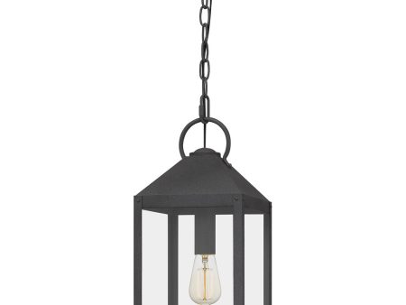 Thorpe Large 1-light Outdoor Pendant Light  Coastal Armour Aluminum Mottled Black Online Sale