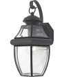 Newbury Medium 1-light Outdoor Wall Light Mystic Black Sale