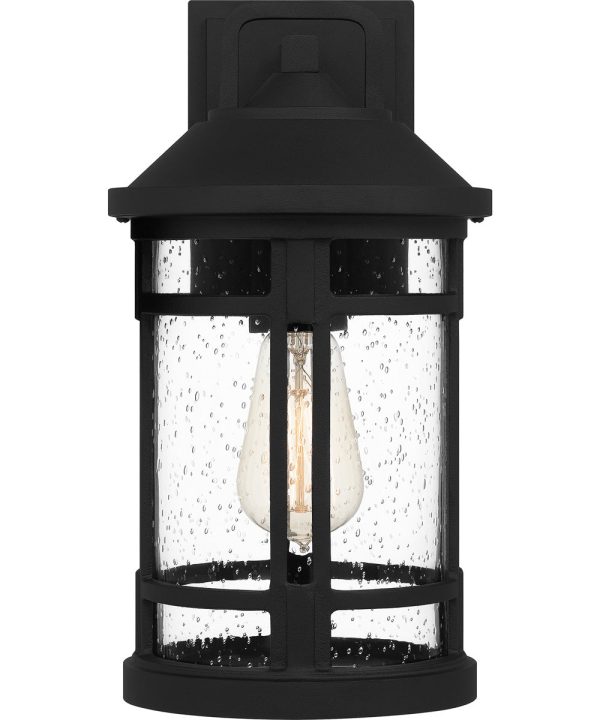 Quincy Medium 1-light Outdoor Wall Light  Coastal Armour Aluminum Earth Black Cheap