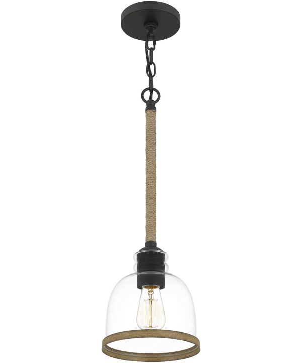 Wagner Small 1-light Mini Pendant Matte Black on Sale