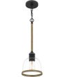 Wagner Small 1-light Mini Pendant Matte Black on Sale